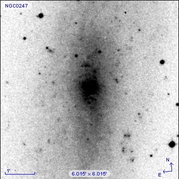 NGC0247