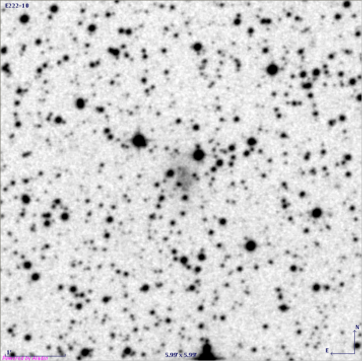 ESO222-010