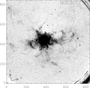 NGC3077.FN657-SED607