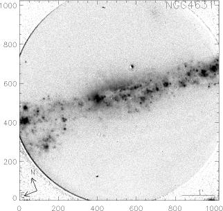 NGC4631.FN657-SED607