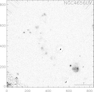 NGC4656UV.Ha 6563