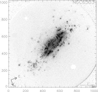 NGC6503.FN657-SED607